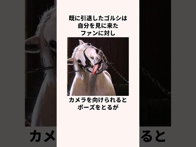 「全牝馬からガチ恋される」ゴールドシップについての雑学