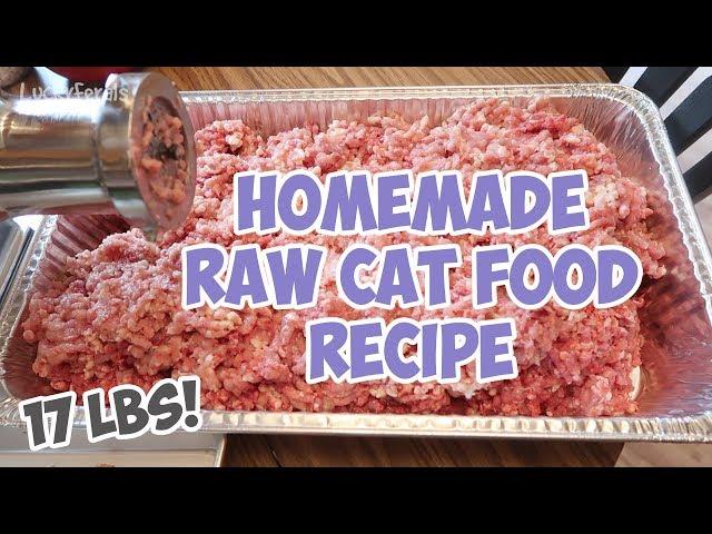 Can RAW Food REALLY Make Your Cat Healthier?