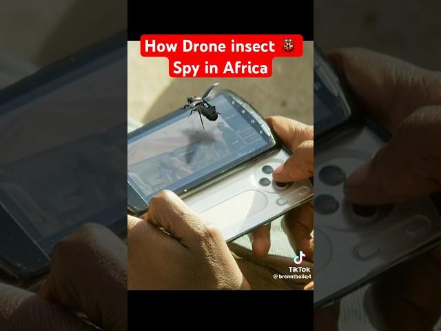 How Drone insect was CAUGHT Spying on Africa #shorts #youtubeshorts