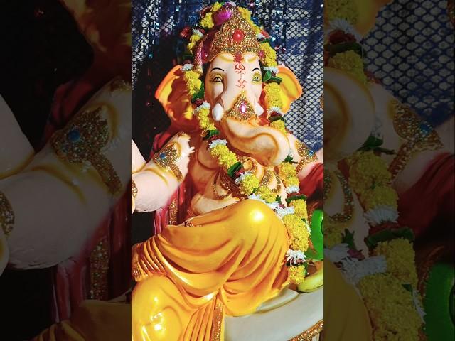 Ganpatibappa morya️#ganptibappamorya#shortvideos#shorts#ganesh#ganpati#ganpatibappa#Nituraj life