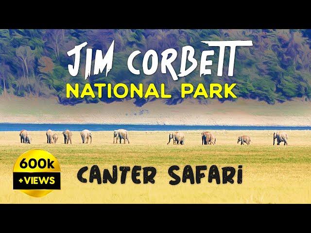 Canter Safari at Jim Corbett National Park, Dhikala 2023 - 4K Video Hindi | हिन्दी
