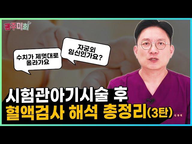 시험관아기시술 후 혈액검사 해석 총정리 3탄