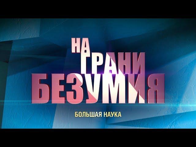 На грани безумия. Что есть что.