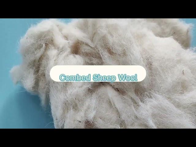 The cheapest carded wool for carpet yarn spinning