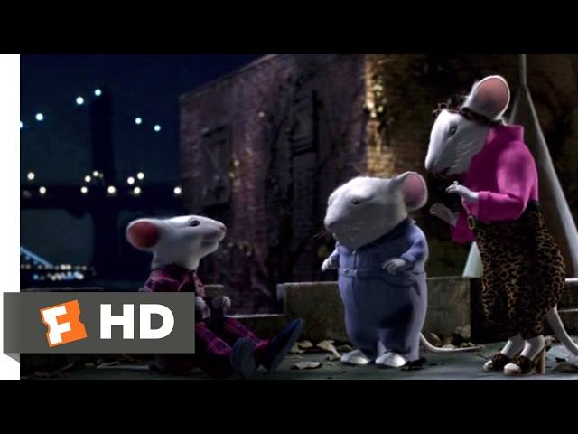 Stuart Little (1999) - Tell Him the Truth! Scene (6/10) | Movieclips