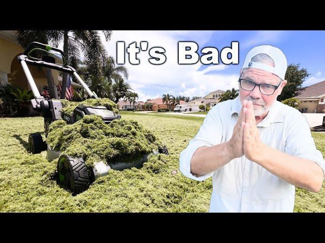 My Lawn Is DESTROYED and It's My FAULT