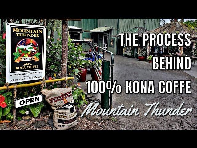 100% Kona Coffee. From Coffee Plant to Drinkable Coffee -How is Coffee Made. Mountain Thunder Coffee