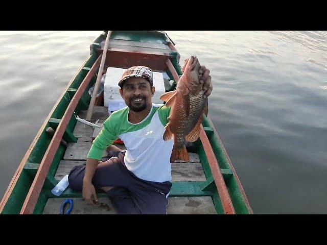 How to catch Mangrove Jack in Backwaters tips and tricks for Beginners 