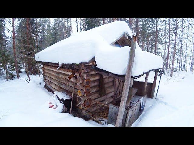 Snowstorm and wolves, I'm hiding in a log cabin, off grid living