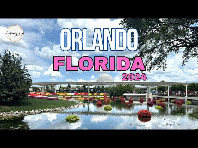 Orlando 2024, returning after 16 years! I Flying Virgin Upper, staying onsite at Pop Century