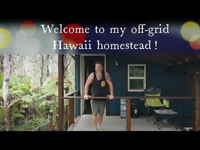 They said I couldn't build an off-grid home in Hawaii on a small budget #bigisland #offgrid #hawaii