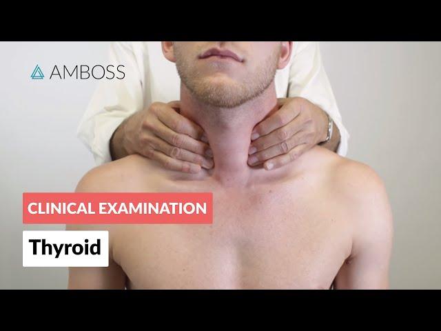 Examination of the Thyroid - Clinical Examination