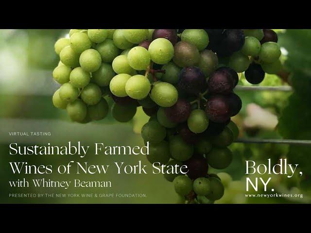 Sustainably Farmed Wines of New York [Virtual Seminar]