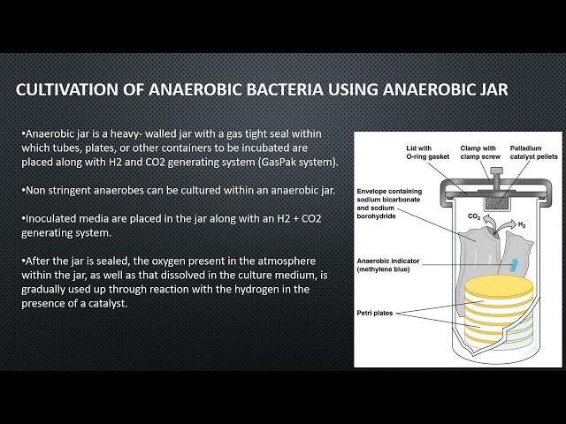 Culture techniques for Anaerobic bacteria | microbiology | Notes by microbial concepts