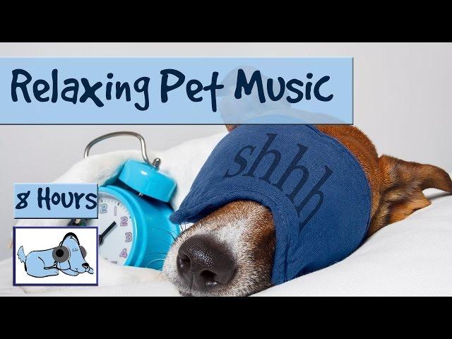 8 HOURS OF RELAX MY DOG MUSIC!! Longest Video Yet! Relaxing Pet Music, Soundsweep  RMD03