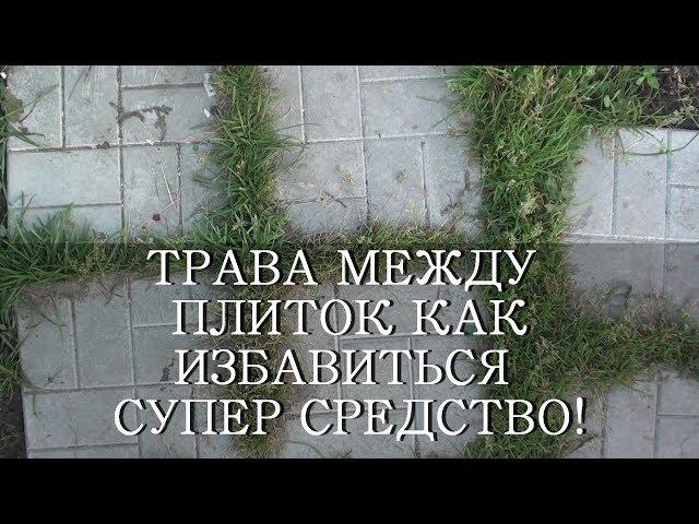 ТРАВА НА ДОРОЖКАХ МЕЖДУ ПЛИТОК - СУПЕР СРЕДСТВО!