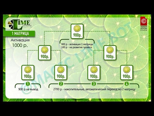 Маркетинг LIME Company рублевая площадка