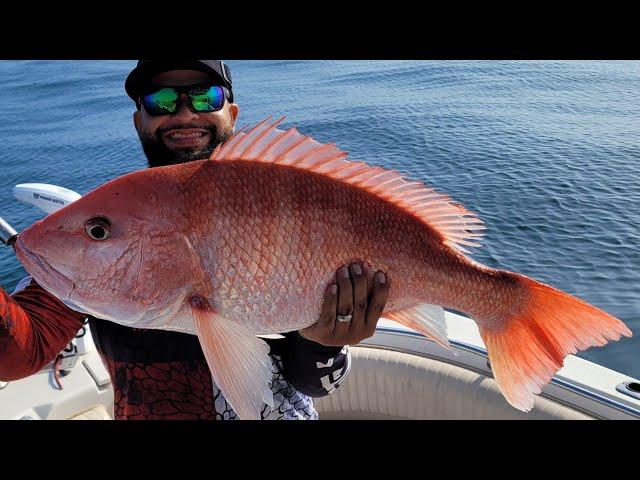 State water Red Snapper Fishing, LIMITS!! Catch and Cook (Corpus Christi TX)