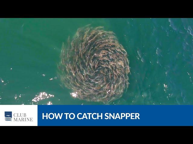 How to catch snapper with Al McGlashan | Club Marine TV