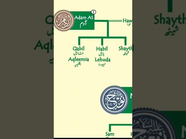 Islamic  Prophets Family Tree/ Adam to Muhammad S.A.W#deen #quran #islamicchannel #ytshortsvideos