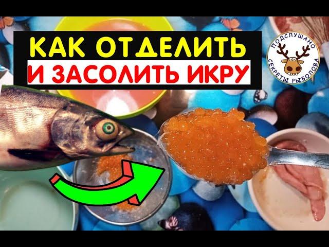 Как засолить икру горбуши, как очистить икру от плёнки