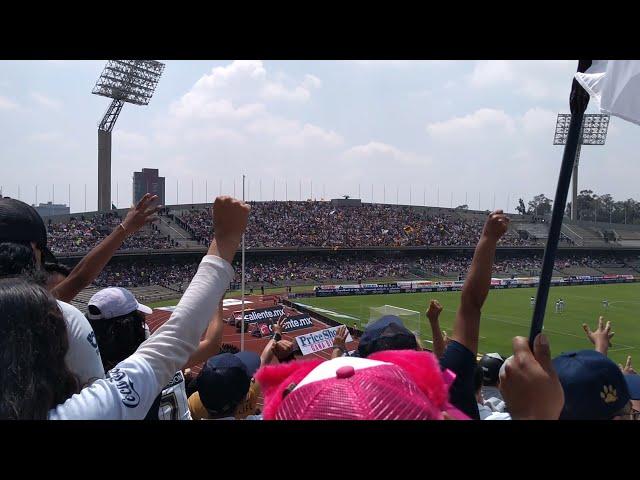 Dentro de la Porra PUMAS UNAM, Estadio Olímpico Universitario CU Ciudad de Mexico