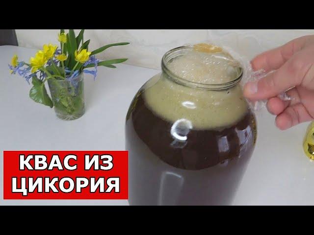 Домашний КВАС за 2 минуты!  КВАС как в ЖЁЛТОЙ БОЧКЕ,вкус из детства за копейки! Квас из ЦИКОРИЯ!