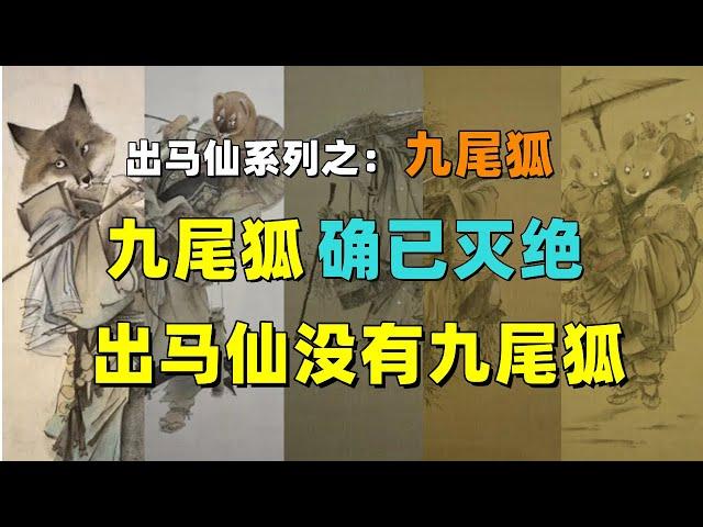 出马仙系列第九期：九尾狐信仰确已灭绝，出马仙没有九尾狐