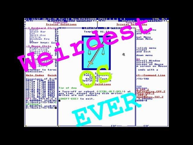 TempleOS | The Weirdest OS I Have EVER Seen !!!