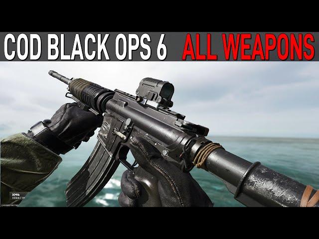 [BETA] Call Of Duty Black Ops 6 - All Weapons [BETA]