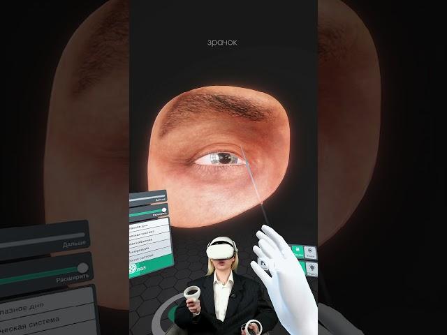 а вы знали из-за чего  наш зрачок, то расширяется, то сужается?#сотка #егэбиология