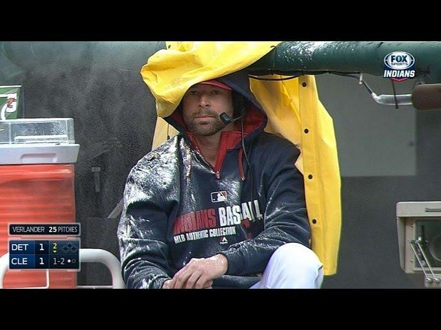 Kluber ENDURES shower of sunflower seeds!