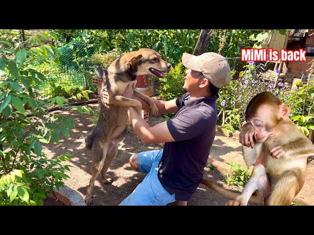 BiBi & Dad were choked up and happy because MiMi the dog had returned home