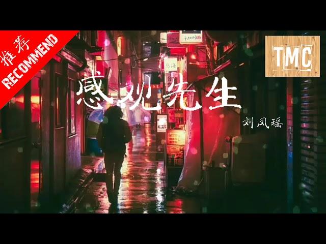 [ 抖音新歌 ] 刘凤瑶 - 感官先生  高音质 [ 动态歌词 ]