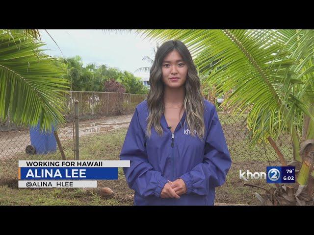 'Fish swimming in our backyards:' Flooding causes extensive damage to Ewa Beach Homes