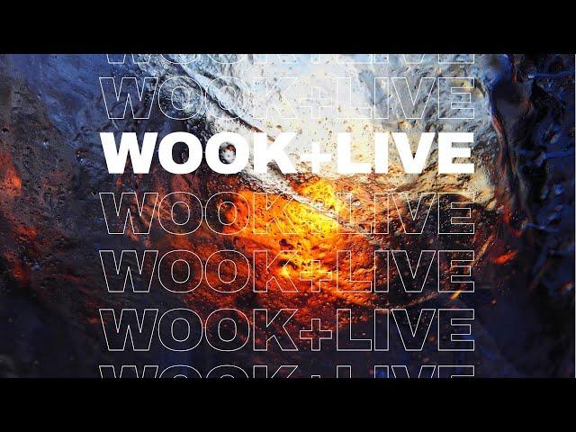 wook+ live | PHiSH / Trey Anastasio in MN / LP on LP 5 & 6