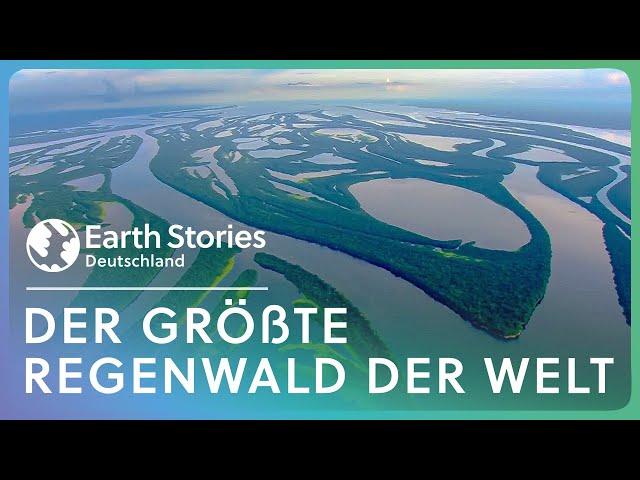 Doku: Entdeckungen in den Tiefen des Amazonas | Earth Stories Deutschland