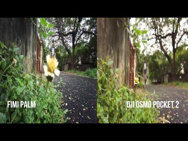 FIMI PALM vs OSMO POCKET2 | Complete Camera Quality Test | fimi palm vs dji osmo pocket 2 video test