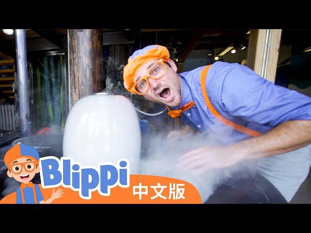 比利皮造访儿童博物馆 | Blippi 中文版 | 儿童教育视频 | 实景探索