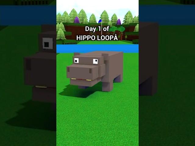 Hippo Loop 1  Build a Boat for Treasure #loop #roblox #gullbox