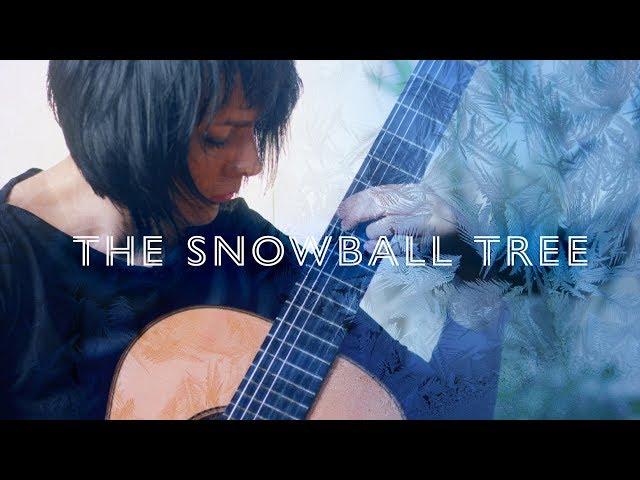 Sergey Rudnev "Oi, da ty, Kalinyshka" (The Snowball Tree) Live - Asya Selyutina