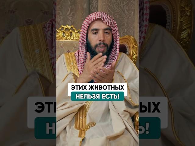 Нельзя есть мясо этих животных! | Шейх Халид Аль-Мушейких