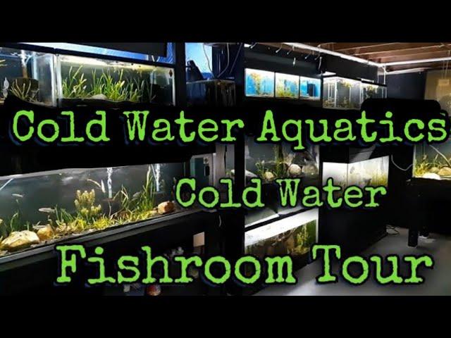 Fish Room Tour March 2021 Cold Water Aquatics