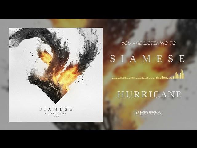 Siamese - Hurricane (Official Audio)