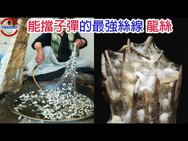 [生物放大鏡] 抵擋子彈隔絕箭矢的神奇絲線"龍絲" | 擋住子彈的人類皮膚 | 最強絲線