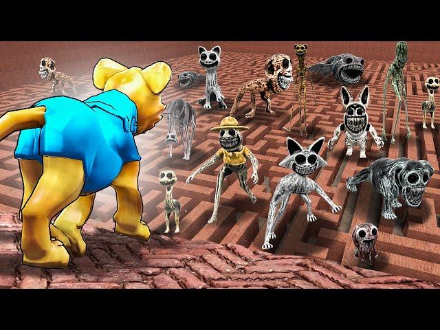 Can ZOONOMALY CREATURES find me in a MAZE?! (Garry's Mod Sandbox)