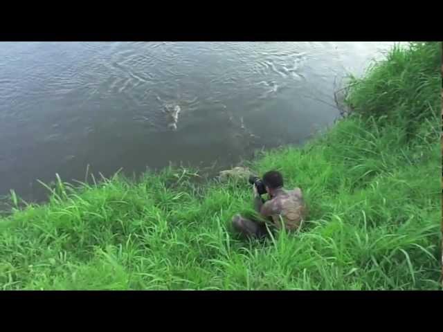 Photographer narrowly escapes crocodile attack.