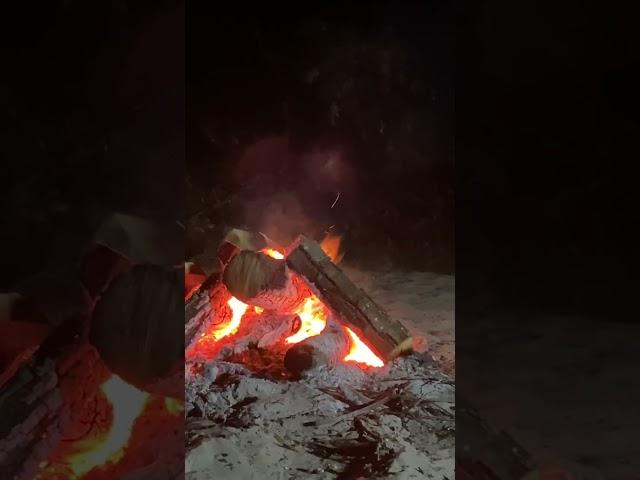 Вечер на Припяти #рыбалка #беларусь #fishing #припять #костёр