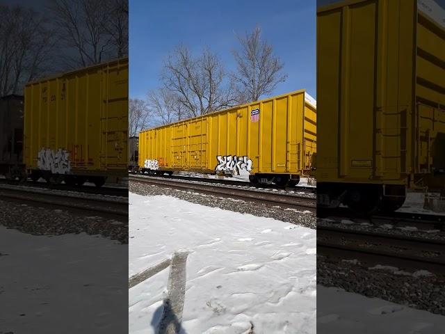 BNSF on NS Newcastle district 2-22-25 #railfanning #trainart #bnsf #norfolksouthern