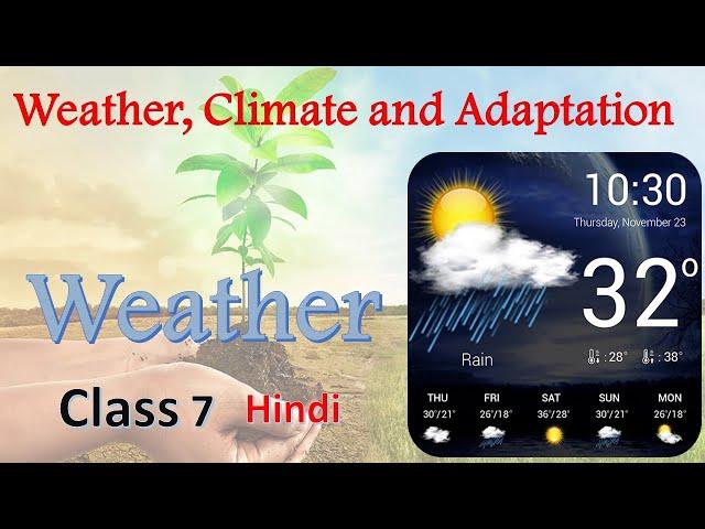 Weather | Weather, Climate and Adaptations of Animals to Climate | Weather Climate and Adaptations